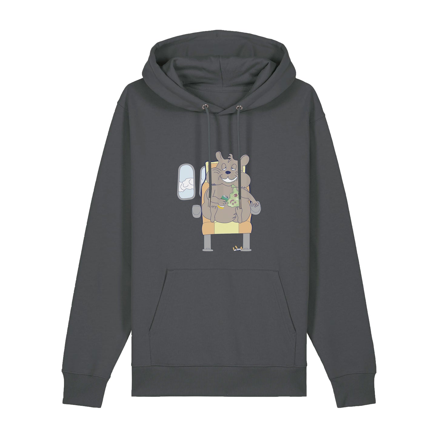 Hoodie Airplane (anthrazit)